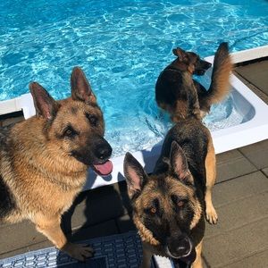 Meet your Posher, Laurel